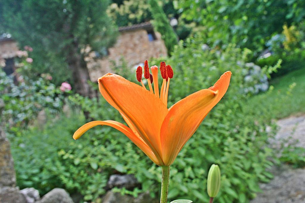 חרטה Finca El Carpintero מראה חיצוני תמונה